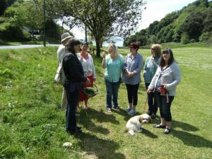 Seaweed and meadow herb walk
