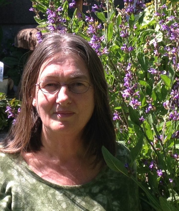 Dawn Ireland